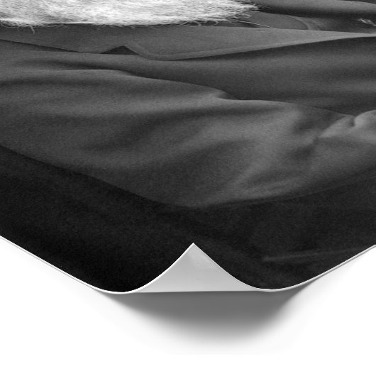 Charles Darwin Portrait - 1874 Poster (Hoek)