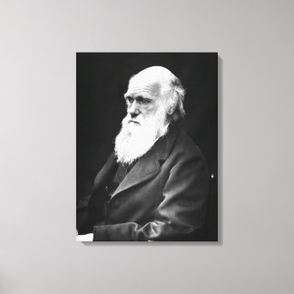 Charles Darwin Portrait Canvas Afdruk