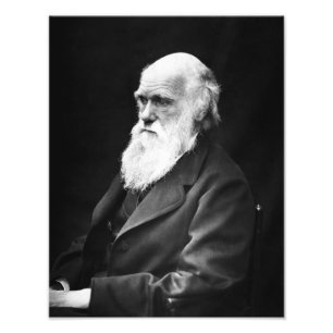 Charles Darwin Portrait Foto Afdruk