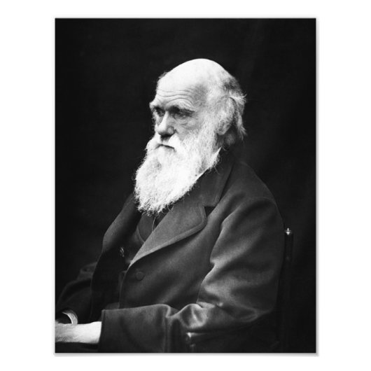 Charles Darwin Portrait Foto Afdruk (Voorkant)
