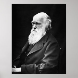 Charles Darwin Portrait Poster
