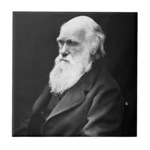 Charles Darwin Portret Tegeltje