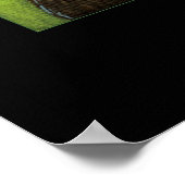 Charles Darwin Poster (Hoek)