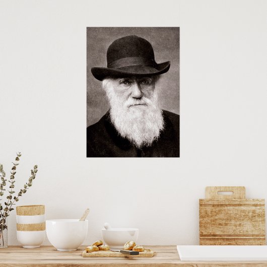 Charles Darwin Poster (Keuken)