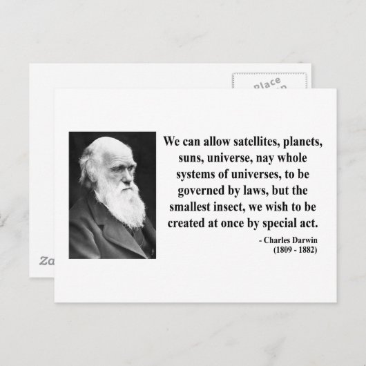 Charles Darwin Quote 4b Briefkaart (Voorkant / Achterkant)
