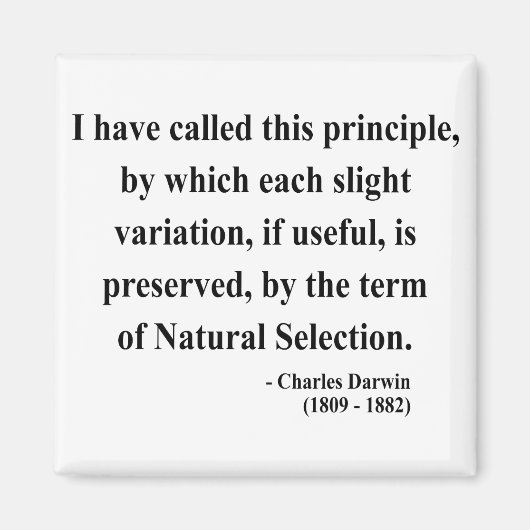 Charles Darwin Quote 6a Magneet (Voorkant)