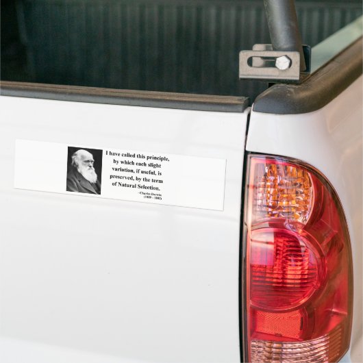 Charles Darwin Quote 6b Bumpersticker (Op Truck)
