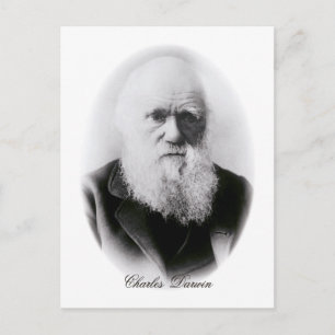 Charles Darwin Vignette Briefkaart