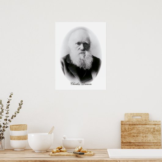 Charles Darwin Vignette Poster (Keuken)