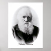 Charles Darwin Vignette Poster (Voorkant)