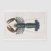 Charles Dessalines D'Orbigny | Crimson Crawfish Tissuepapier (Voorkant)