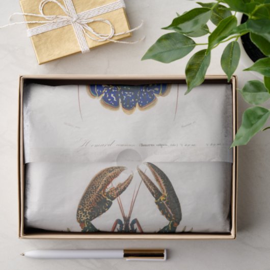 Charles Dessalines D'Orbigny | Crimson Crawfish Tissuepapier (Geschenk)