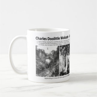 Charles Doolittle Walcott I - Pioneering Geologist Koffiemok