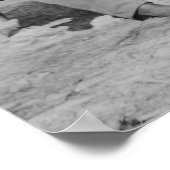 Charles Francis Adams Poster (Hoek)