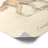 Charles Hamilton Smith - Corsac Dog-Fox Poster (Hoek)