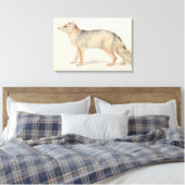Charles Hamilton Smith - Crab-Eating Fox Canvas Afdruk (Insitu (Slaapkamer))
