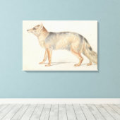 Charles Hamilton Smith - Crab-Eating Fox Canvas Afdruk (Insitu (Houten vloer))