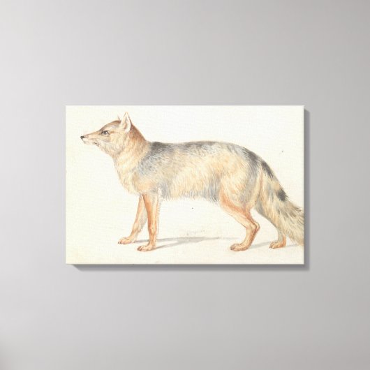 Charles Hamilton Smith - Crab-Eating Fox Canvas Afdruk (Voorkant)