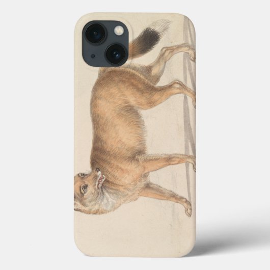 Charles Hamilton Smith - Falklandeilanden Wolf Case-Mate iPhone Case (Achterkant)