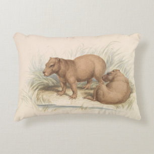 Charles Hamilton Smith - Het Capybara Accent Kussen