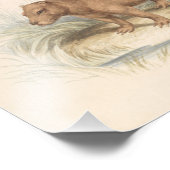 Charles Hamilton Smith - Het Capybara Foto Afdruk (Hoek)