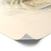 Charles Hamilton Smith - Het Capybara Poster (Hoek)