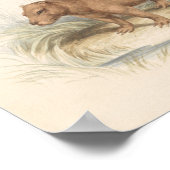 Charles Hamilton Smith - Het Capybara Poster (Hoek)