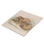 Charles Hamilton Smith - Het Capybara Tegeltje (Zijkant)