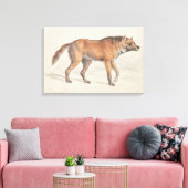 Charles Hamilton Smith - Maned Wolf Canvas Afdruk (Insitu (Woonkamer))