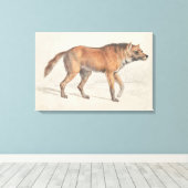 Charles Hamilton Smith - Maned Wolf Canvas Afdruk (Insitu (Houten vloer))