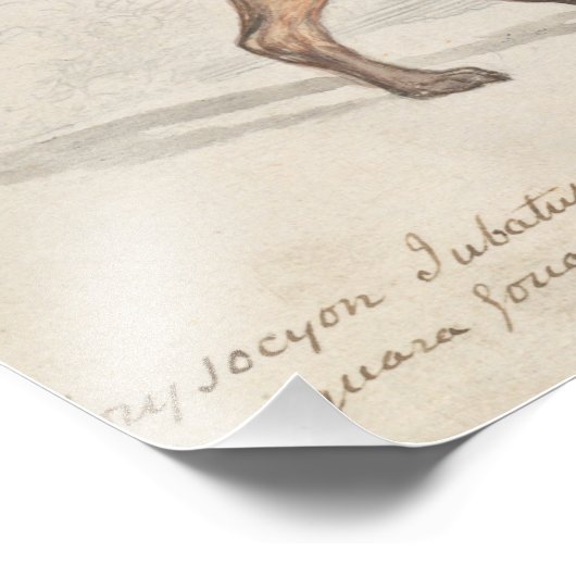 Charles Hamilton Smith - Maned Wolf Foto Afdruk (Hoek)