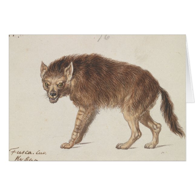 Charles Hamilton Smith - The Brown Hyena (Voorkant Horizontaal)