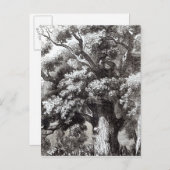 Charles II Verborgen in de eik-boom Briefkaart (Voorkant / Achterkant)