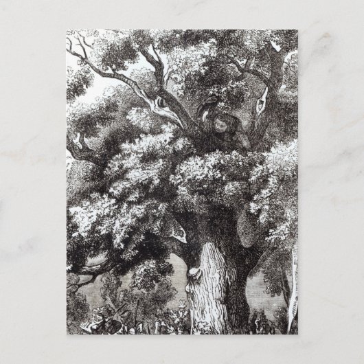 Charles II Verborgen in de eik-boom Briefkaart (Voorkant)