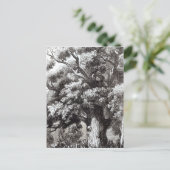 Charles II Verborgen in de eik-boom Briefkaart (Staand voorkant)