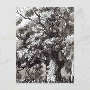 Charles II Verborgen in de eik-boom Briefkaart