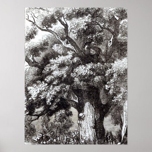Charles II Verborgen in de eik-boom Poster (Voorkant)