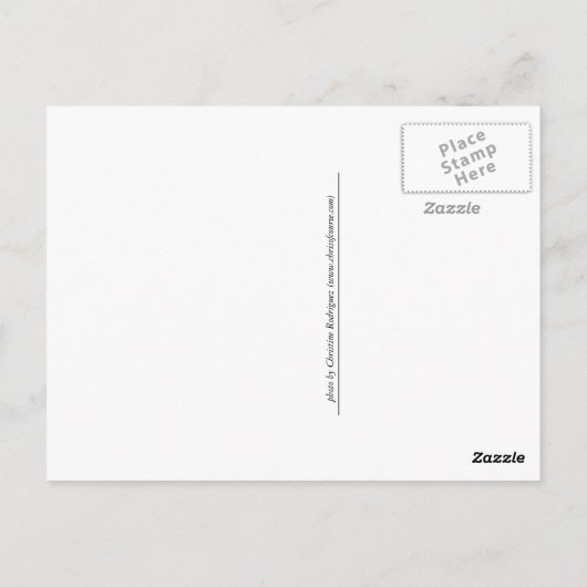 Charles Island Briefkaart (Achterkant)