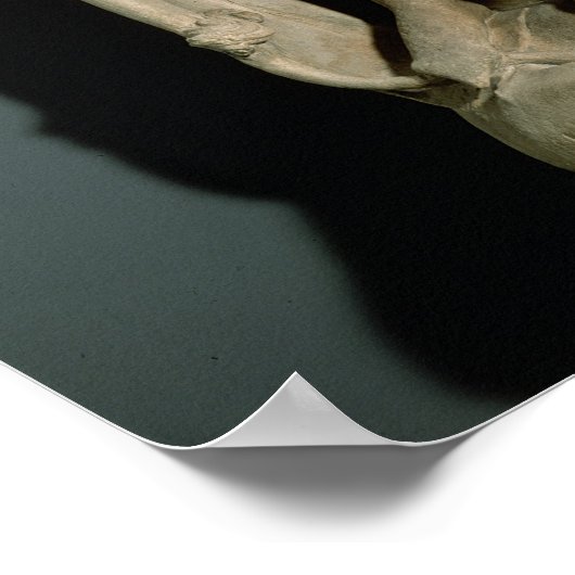 Charles IV Heilige Roman Emperor Poster (Hoek)