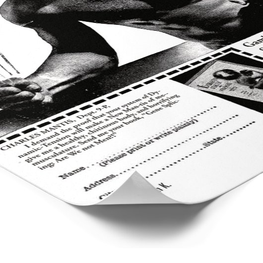 Charles Mantis Poster (Hoek)