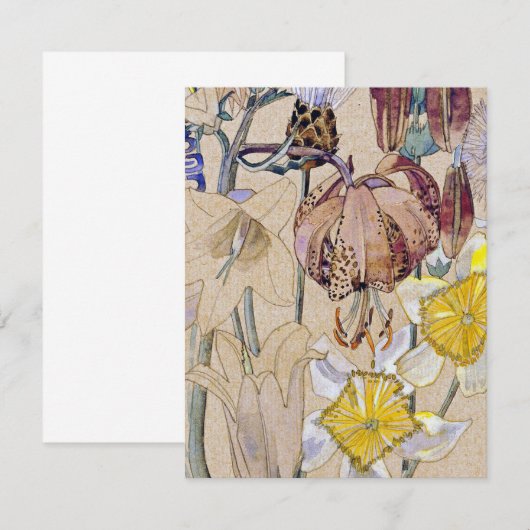 Charles Rennie Mackintosh - Mont Louis - Flower (Voorkant / Achterkant)