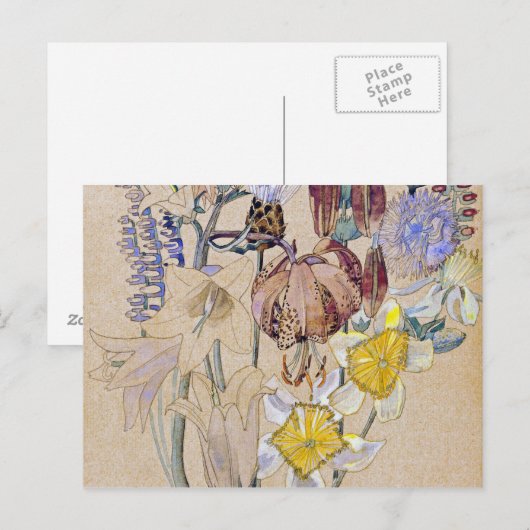 Charles Rennie Mackintosh - Mont Louis - Flower Briefkaart (Voorkant / Achterkant)