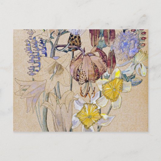 Charles Rennie Mackintosh - Mont Louis - Flower Briefkaart (Voorkant)
