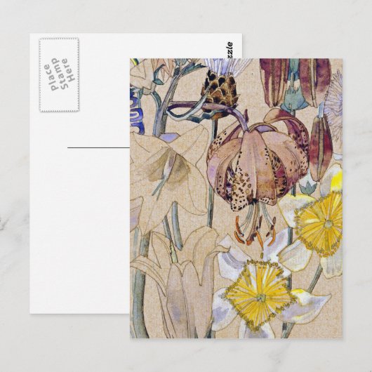 Charles Rennie Mackintosh - Mont Louis - Flower Briefkaart (Voorkant / Achterkant)