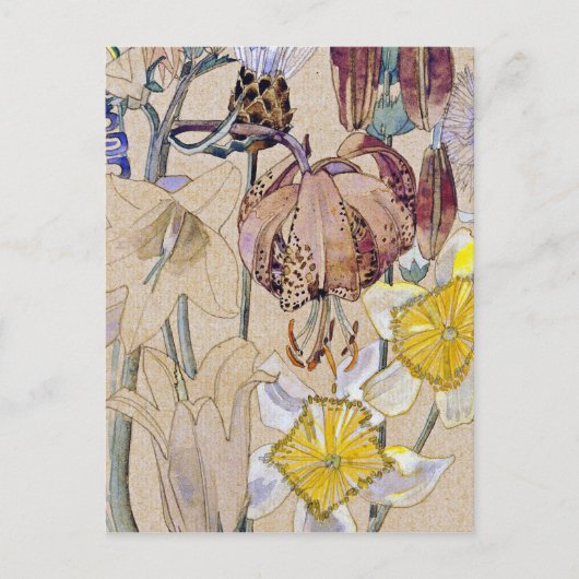 Charles Rennie Mackintosh - Mont Louis - Flower Briefkaart (Voorkant)