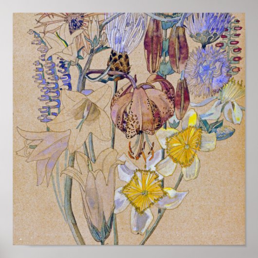 Charles Rennie Mackintosh - Mont Louis - Flower Poster (Voorkant)