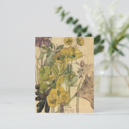 Charles Rennie Mackintosh - Spurge With Yham 1909 Bedankkaart (Staand voorkant)