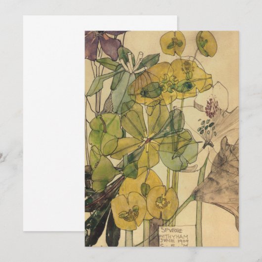 Charles Rennie Mackintosh - Spurge With Yham 1909 Bedankkaart (Voorkant / Achterkant)