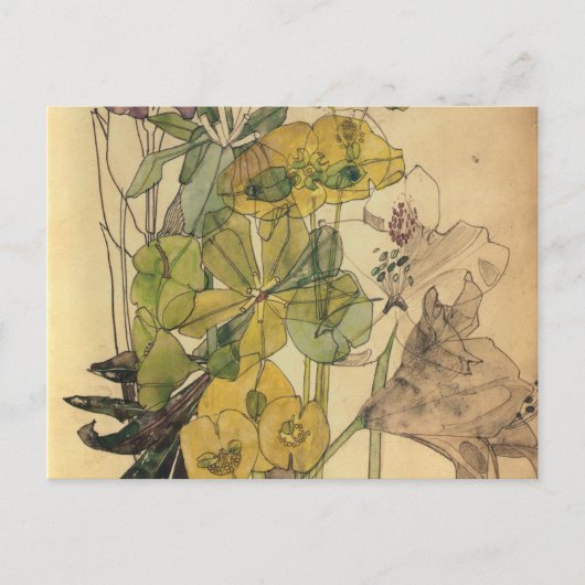 Charles Rennie Mackintosh - Spurge With Yham 1909 Feestdagenkaart (Voorkant)