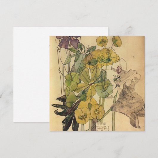 Charles Rennie Mackintosh - Spurge With Yham 1909 Feestdagenkaart (Voorkant / Achterkant)